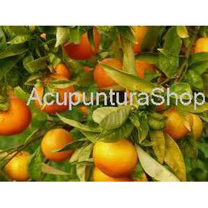 ACEITE PARA MASAJE DE MANDARINA