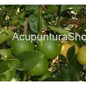 ACEITE PARA MASAJE DE LIMON